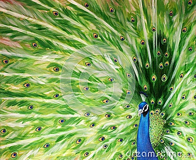 Original painting of a peacock fanning its wings Stock Photo