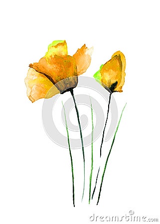 Original Poppies flower Cartoon Illustration