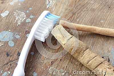 Original toothbrush miswak with modern toothbrush Stock Photo