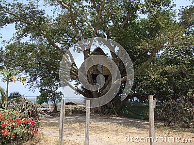 Original tree house in Vanuatu Stock Photo