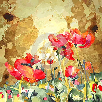 Original watercolor poppy flower in gold Vector Illustration