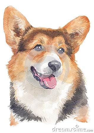 Water colour painting portrait of welsh corgi 119 Stock Photo