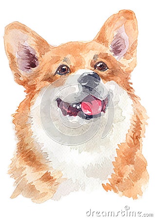 Water colour painting portrait of welsh corgi 121 Stock Photo