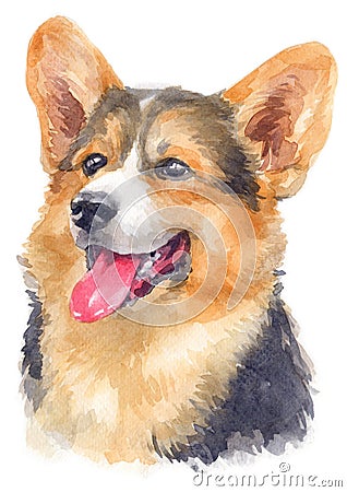 Water colour painting portrait of welsh corgi 122 Stock Photo