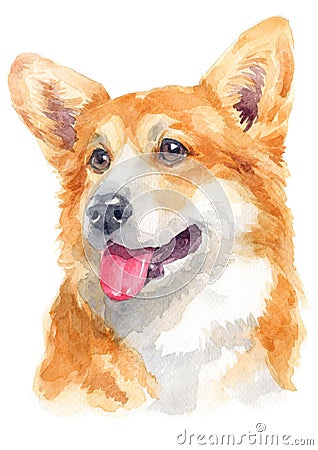 Water colour painting portrait of welsh corgi 123 Stock Photo