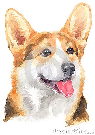 Water colour painting portrait of welsh corgi 124 Stock Photo