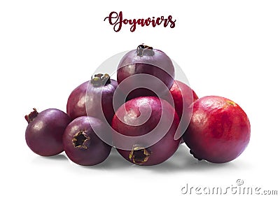 Little purple chinese guavas also called guava-strawberry isolated on white background Stock Photo