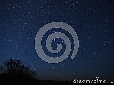 Orion constellation and Sirius star observing Stock Photo