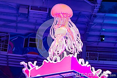 Top view of colorful jellyfish in Electric Ocean at Seaworld 78 Editorial Stock Photo