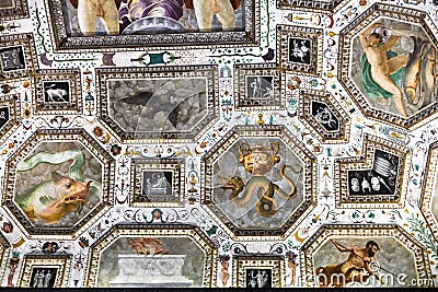 Ornament of ceiling of Palazzo Chiericati Editorial Stock Photo