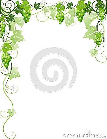 Ornament with grapes Vector Illustration