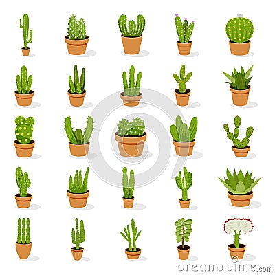 Ornamental Cactus Potted Plants Icons Vector Illustration