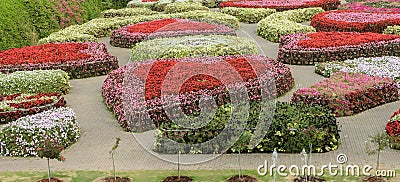 Ornamental flower garden Stock Photo