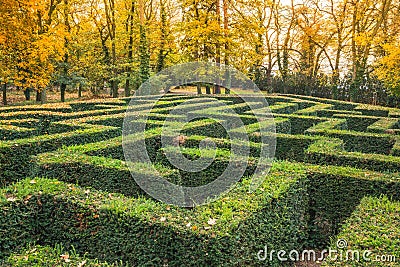Ornamental garden with hedges of buxus sempervirens as a labyrinth. Maze garden ner Loucen castle in Czech republic Stock Photo