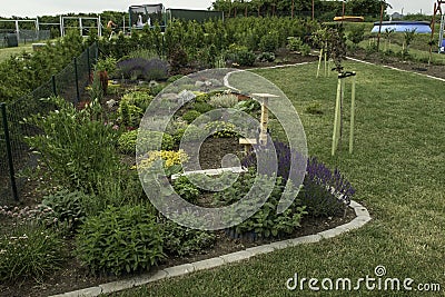 Ornamental garden at the house in summer full of plants. Editorial Stock Photo