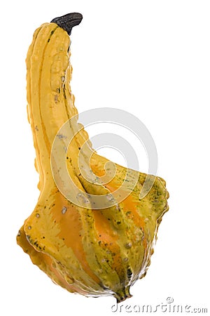 Ornamental gourd Stock Photo