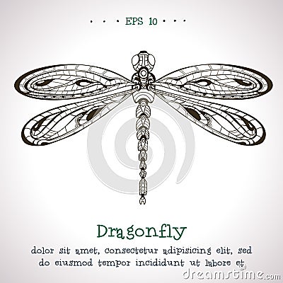 Ornamental hand drawn vintage vector Dragonfly Vector Illustration