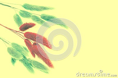 Ornamental plant branches on a yellow background in art processing Stock Photo