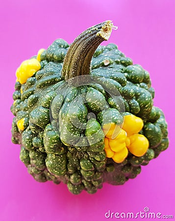 ornamental pumpkin closeup over pink background. Halloween decoration with pumpkins. Stock Photo