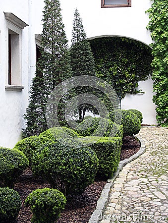 Ornamental shrubs and conifers Stock Photo