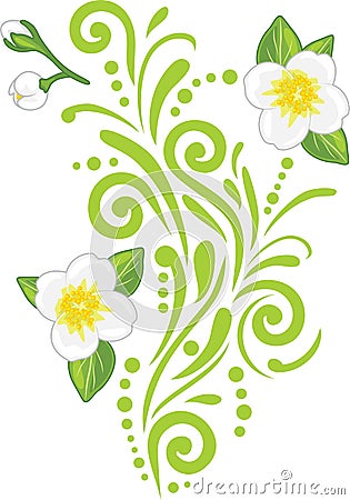 Ornamental vintage element with blooming jasmine Vector Illustration