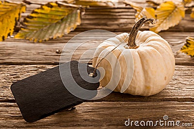 Ornamental white gourd with a wooden tag Stock Photo