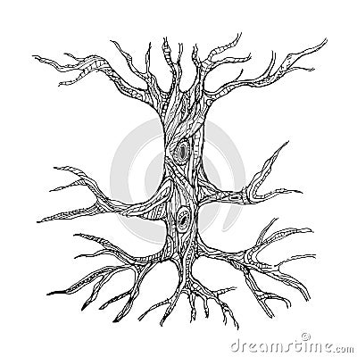 Ornate bare tree trunk with roots Vector Illustration