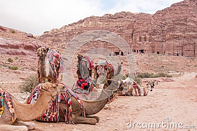 Ornate & Colorfully saddled camels in front of the East Ridge of Royal Tombs of Petra, Jordan UNESCO World Heritage Site Stock Photo