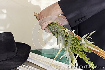 Orthodox hasidic performing the commandment of taking of the Stock Photo