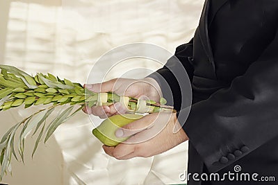 Orthodox hasidic performing the commandment of taking of the Stock Photo