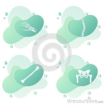 Orthopedic anatomy bone set icon. Abstract background with knee, foot, shoulder, elbow bones and joints. Vector Illustration