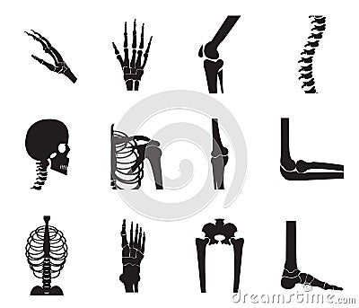 Orthopedic and spine icon set on white background. Vector Illustration