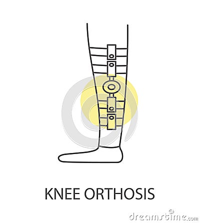 Orthosis knee icon in vector, linear illustration Vector Illustration
