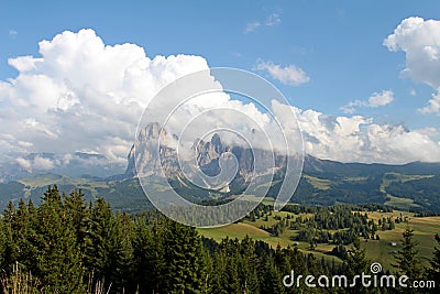 View of the Alpe Siusi with the massif of the Sasso Lungo Stock Photo