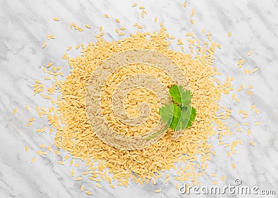 Orzo pasta with green coriander leaves Stock Photo