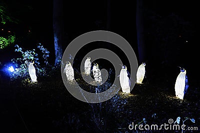 Osabrueck, Germany - 09 19 2020: Illuminated Sculpture Editorial Stock Photo