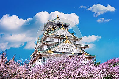 Osaka Castle and Cherry blossom in spring. Sakura seasons in Osaka, Japan Stock Photo