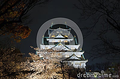 Osaka Castle Night View Stock Photo