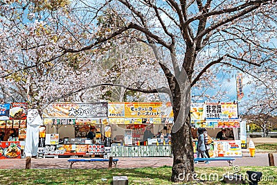 Street food stalls with cherry blossoms at Expo `70 Commemorative Park in Osaka, Japan Editorial Stock Photo
