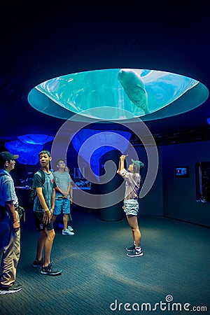 OSAKA, JAPAN - JULY 18, 2017: Dolphing in Osaka Aquarium Kaiyukan Ring of Fire Aquarium , one of the largest public Editorial Stock Photo