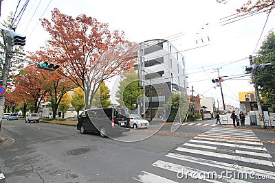 Road, neighbourhood, lane, town, street, infrastructure, urban, area, residential, tree, city, downtown, pedestrian, car, plant, m Editorial Stock Photo