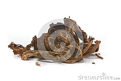 Osha Root Stock Photo