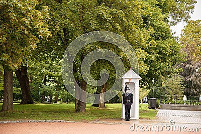 The Royal Palace guard in Oslo Editorial Stock Photo