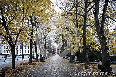 Oslo parkway alley boulevard avenue with people walking around a Editorial Stock Photo