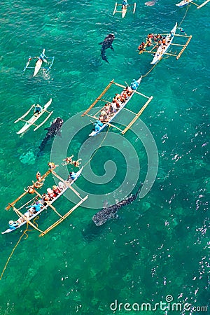 Oslob Whale Shark Watching in Philippines, Cebu Island Stock Photo