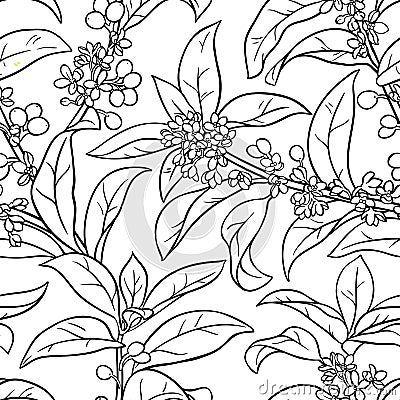 Osmanthus seamless pattern Vector Illustration