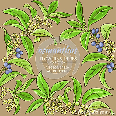 Osmanthus vector frame Vector Illustration