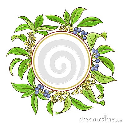 Osmanthus vector frame Vector Illustration