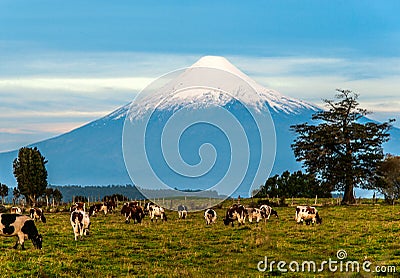 Osorno Volcano, Lake Region, Chile Stock Photo