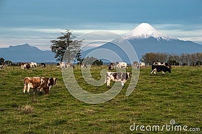 Osorno Volcano, Lake Region, Chile Stock Photo
